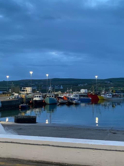 Pier View Portmagee Villa Kültér fotó